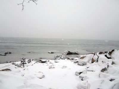 Blizzard of 2013
Pictures taken during the storm show the devastation of the driving winds and wet snow in the area of Harbor Beach in Mattapoisett. Photos by Diane Garde
