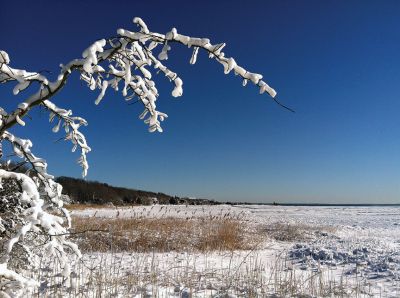 Blizzard of 2013
A more scenic side of the blizzard, Aucoot Cove on Sunday February 10. Photos by Shawn Sweet
