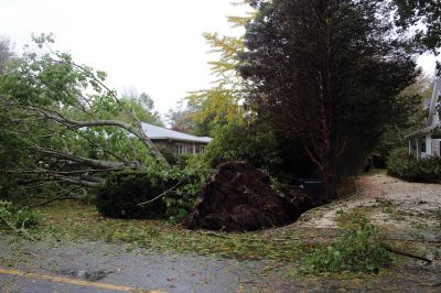 Storm Damage
An uprooted tree lays across the front lawn of a ranch house on Front Street near Silvershell Beach in Marion last Friday. Earlier in the day, a Mattapoisett Fire truck monitored the scene after a downed powerline caused a fire and closed Water Street down the street from Town Hall. North of Route 195 in Mattapoisett, a snapped-off tree is held up by a utility wire. Photos by Mick Colageo and Marilou Newell
