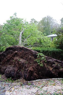 Storm Damage
An uprooted tree lays across the front lawn of a ranch house on Front Street near Silvershell Beach in Marion last Friday. Earlier in the day, a Mattapoisett Fire truck monitored the scene after a downed powerline caused a fire and closed Water Street down the street from Town Hall. North of Route 195 in Mattapoisett, a snapped-off tree is held up by a utility wire. Photos by Mick Colageo and Marilou Newell
