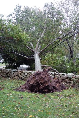 Storm Damage
An uprooted tree lays across the front lawn of a ranch house on Front Street near Silvershell Beach in Marion last Friday. Earlier in the day, a Mattapoisett Fire truck monitored the scene after a downed powerline caused a fire and closed Water Street down the street from Town Hall. North of Route 195 in Mattapoisett, a snapped-off tree is held up by a utility wire. Photos by Mick Colageo and Marilou Newell
