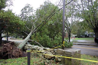 Storm Damage
An uprooted tree lays across the front lawn of a ranch house on Front Street near Silvershell Beach in Marion last Friday. Earlier in the day, a Mattapoisett Fire truck monitored the scene after a downed powerline caused a fire and closed Water Street down the street from Town Hall. North of Route 195 in Mattapoisett, a snapped-off tree is held up by a utility wire. Photos by Mick Colageo and Marilou Newell
