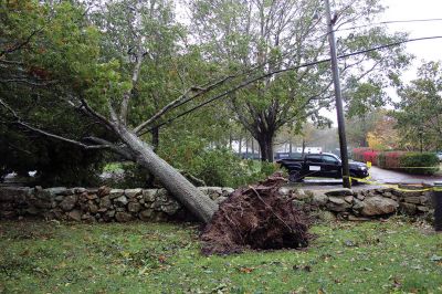 Storm Damage
An uprooted tree lays across the front lawn of a ranch house on Front Street near Silvershell Beach in Marion last Friday. Earlier in the day, a Mattapoisett Fire truck monitored the scene after a downed powerline caused a fire and closed Water Street down the street from Town Hall. North of Route 195 in Mattapoisett, a snapped-off tree is held up by a utility wire. Photos by Mick Colageo and Marilou Newell
