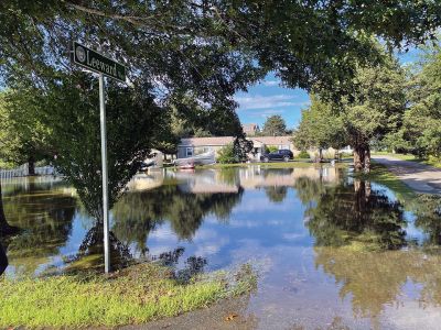 Storm Flooding
Photo by Jen Shepley
