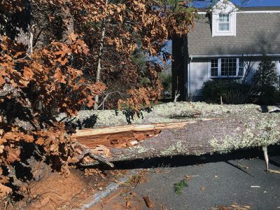 High Winds and Waves
On February 7, rain and high winds hit Southeastern Massachusetts, resulting in thousands of electrical outages. The hardest hit in the Tri-Town area was Rochester with more than 500 Eversource customers reporting wires down and service interruptions from mid-afternoon into the night. Gusts of over 70 miles per hour were reported by the National Weather Service. Rochester’s Highway Department was on the job for approximately 24 hours removing trees. Photo by Marilou Newell
