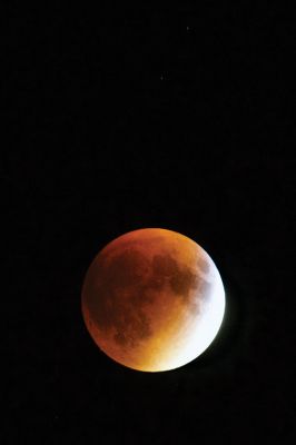 Supermoon Eclipse
A blood red Harvest Moon hangs above Ned’s Point in Mattapoisett where some people had a stellar view of the rare celestial event of a total lunar eclipse of a supermoon. Dozens came to watch the moon on Sunday night as it passed through the Earth’s shadow between 9:07 pm, when the partial eclipse began, and 12:27 am when the spectacle ended. Photo by Colin Veitch
