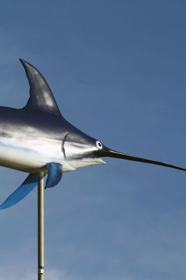 Mattapoisett Town Wharf
 The historic swordfish soaring over the Mattapoisett Town Wharf recently got a bit of TLC from its long-time caregiver William DeYong Field. Patricia Hinsdale donated the weathervane to the Town back in the 1950s. Photos by Jean Perry
