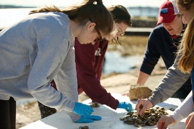 Tabor Academy’s Oyster Farm
Tabor Academy’s oyster farm is like a marine biology lab by the sea, providing students with hands-on learning experience. The school hosts a summer camp where campers can explore oyster farming firsthand, compiling “oyster reefs,” large piles of oysters, and depositing them into salt water. Here, David Bill of the Nautical Science Department at Tabor inspects an oyster bag from his skiff Ting. Photo courtesy Tabor Academy
