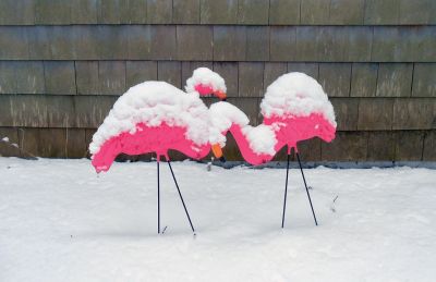 Wintertime
Photo by Teresa Dall
