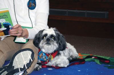 Breton
Lenore Everett and her therapy dog Breton read stories at the Mattapoisett Public Library on Saturdays twice per month. Breton loves the interaction with the children who, even those timid around dogs, respond to Breton’s gentle nature. Photo by Marilou Newell
