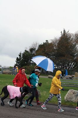 Mother’s Day Tiara 5k
Sunday’s wind and rain wasn’t stopping the hundreds who participated in the annual Mother’s Day Tiara 5k in Mattapoisett on May 10.  The storm brought strong wind and cold rain to the area, especially at the turn around Ned’s Point Lighthouse, dampening the day but not the sentiment behind the Women’s Fund of Southeastern Massachusetts’ largest annual fundraising event. Photos by Jean Perry
