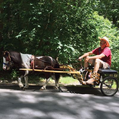 Tonto
That’s not the latest economy ‘compact’ car model you saw last Friday afternoon in Mattapoisett. It was ‘Tonto,’ the miniature horse who was visiting town for a ‘wee’ while taking his human out for a ‘small’ stroll along Ned’s Point Road. Photo by Marilou Newell
