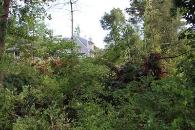 Tornado in Mattapoisett
An EF-1 tornado touched down late Tuesday morning in Mattapoisett. The unusual weather event downed power lines and hundreds of trees, knocking out power to many homes north of Route 195. Television news crews descended from Boston, as the Mattapoisett Fire and Police departments worked with utility companies and many power lines to clean up roads and assist area residents coming home to frightening scenes. Photo by Mick Colageo
