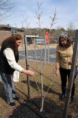 Fifth Grade Tree Poster Contest
Mattapoisett Select Board member Jodi Bauer, left, and Mattapoisett Tree Committee Chairperson Sandy Hering check up on the Kousa Dogwood tree that Old Hammondtown Elementary School received from the state after Old Hammondtown student Emma Lowe won the statewide 2023 Fifth Grade Tree Poster Contest. This year’s first-place winner for Mattapoisett was produced by Cabot Van Keuren, and the second-place poster was done by Hadlee Weeden. Photos by Mick Colageo
