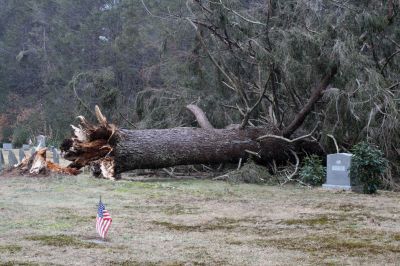 Storm Damage
A large evergreen tree was uprooted on the North Rochester Cemetery during the January 25, 2010 storm that brought heavy rain and strong wind to the region. The trees fall knocked over one stone, belonging to Roland Beaulieu. Photo by Anne OBrien-Kakley.
