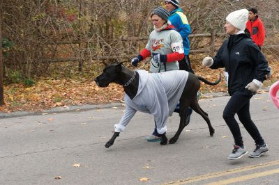 Annual Turkey Trot 5K 
The Annual Turkey Trot 5K wound its way through Marion Village on Sunday, November 17, with 182 trotters (and some ‘turkeys’ as well) braving a chilling wind that morning to make it to the finish line. Organized by the Marion Recreation Department, the event every year draws quite a flock of runners to the start and finish line at Tabor Academy, raising funds for Marion Rec programs and events. Photos by Colin Veitch
