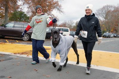 Annual Turkey Trot 5K 
The Annual Turkey Trot 5K wound its way through Marion Village on Sunday, November 17, with 182 trotters (and some ‘turkeys’ as well) braving a chilling wind that morning to make it to the finish line. Organized by the Marion Recreation Department, the event every year draws quite a flock of runners to the start and finish line at Tabor Academy, raising funds for Marion Rec programs and events. Photos by Colin Veitch
