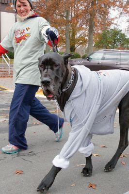 Annual Turkey Trot 5K 
The Annual Turkey Trot 5K wound its way through Marion Village on Sunday, November 17, with 182 trotters (and some ‘turkeys’ as well) braving a chilling wind that morning to make it to the finish line. Organized by the Marion Recreation Department, the event every year draws quite a flock of runners to the start and finish line at Tabor Academy, raising funds for Marion Rec programs and events. Photos by Colin Veitch
