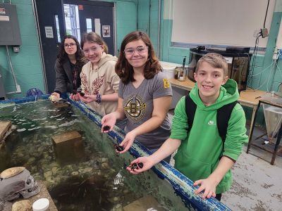 Ocean Guardian Youth Ambassadors
Four freshmen from the Upper Cape Cod Regional Technical School’s Environmental Technology Program applied for and are now Ocean Guardian Youth Ambassadors through National Oceanic and Atmospheric Administration’s (NOAA) National Marine Sanctuaries Program. The four freshmen are Wareham residents Lilia Lopez Del Moral and Emma Pacheco as well as Marion residents Lia Estes and Kent Spooner. 
