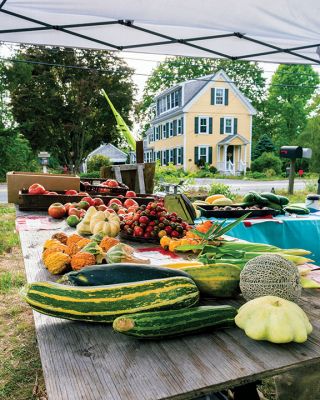 Harvest Time
Gourds, pumpkins, yellow peppers, and a variety of tomatoes decorate a farm stand on North Street in Mattapoisett on Monday. Harvest season is upon us, as the Tri-Town region is run over with produce from businesses to family farms to backyard gardens. Photo by Ryan Feeney - September 3, 2020 edition
