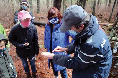 Vernal Pools
An April 17 exploration of a vernal pool led by Mattapoisett Land Trust Treasurer and wildlife expert Gary Johnson led a party of 10 along a muddy trail through the woods off Angelica Avenue past a forest clearing and ultimately to two vernal pools. Photo by Mick Colageo
