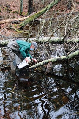 Vernal Pools
An April 17 exploration of a vernal pool led by Mattapoisett Land Trust Treasurer and wildlife expert Gary Johnson led a party of 10 along a muddy trail through the woods off Angelica Avenue past a forest clearing and ultimately to two vernal pools. Photo by Mick Colageo
