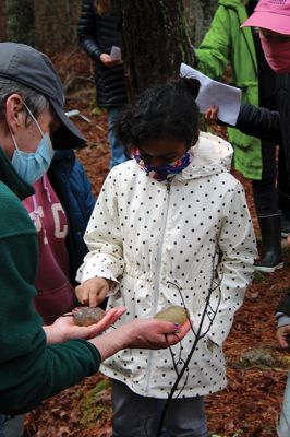 Vernal Pools
An April 17 exploration of a vernal pool led by Mattapoisett Land Trust Treasurer and wildlife expert Gary Johnson led a party of 10 along a muddy trail through the woods off Angelica Avenue past a forest clearing and ultimately to two vernal pools. Photo by Mick Colageo
