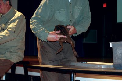 Wild Kingdom
On Friday, May 29, 2009 Jim Fowler, host of Mutual of Omahas Animal Kingdom visited the Sippican Elementary School. Mr. Fowler brought with him a variety of animals. Photo by Sarah K. Taylor
