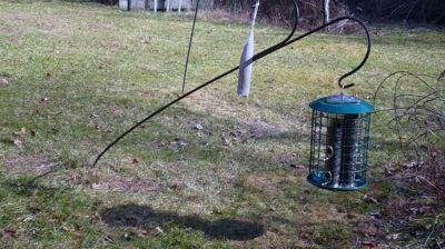 Signs of Spring
An early sign of spring and that hibernation may be over, this bird feeder located in Laurene Gerrior’s yard on Walnut Plain Road in Rochester was pulled down. The 3/8” steel pole was pulled over and the late night visitor left another calling card so there would be no doubt he’s back. Photo courtesy Laurene Gerrior
