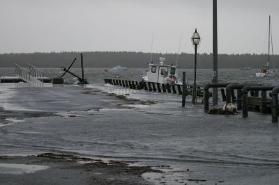 Winter Storm
Strong southeasterly winds combined with heavy rain and an usually high tide to create flooding conditions along Tri-Town coasts and marshes on the morning of December 3. Photo by Anne O'Brien-Kakley
