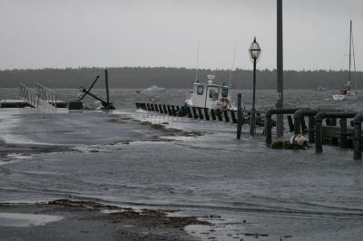 Winter Storm
Strong southeasterly winds combined with heavy rain and an usually high tide to create flooding conditions along Tri-Town coasts and marshes on the morning of December 3. Photo by Anne O'Brien-Kakley
