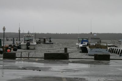 Winter Storm
Strong southeasterly winds combined with heavy rain and an usually high tide to create flooding conditions along Tri-Town coasts and marshes on the morning of December 3. Photo by Anne O'Brien-Kakley
