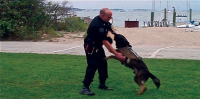 YMCA-K9 Bite
Deputy Kevin Aldini of the Plymouth County Sherrifs Department plays with his service dog, Bodo, during a demonstration of the skills of police K-9 units at YMCA Camp Massasoit.  Photo by Eric Tripoli.
