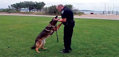 K-9 Demonstration
Deputy Kevin Aldini of the Plymouth County Sherrifs Department plays with his service dog, Bodo, during a demonstration of the skills of police K-9 units at YMCA Camp Massasoit.  Photo by Eric Tripoli.
