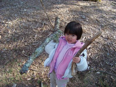 Trees!
Trees and Other Woody Plants was the focus of a recent after-school program at the Marion Natural History Museum. Photo courtesy of Elizabeth Leidhold.
