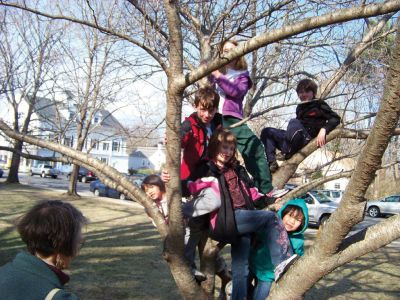 Trees!
Trees and Other Woody Plants was the focus of a recent after-school program at the Marion Natural History Museum. Photo courtesy of Elizabeth Leidhold.
