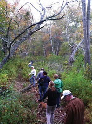 MLT Autumn Walk
Tri-Town residents joined Mattapoisett Land Trust President Gary Johnson and Clerk Luana Josvold for the organization’s Autumn Walk on Saturday afternoon. Photos by Marilou Newell.
