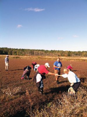 Buzzards Bay Coalition
Sara DaSilva Quintal, Restoration Ecologist with the Buzzards Bay Coalition, led a group of 50 Tri-Town residents and others from across the South Coast on an expedition into protected retired cranberry bogs last Saturday. Photo by Marilou Newell.
