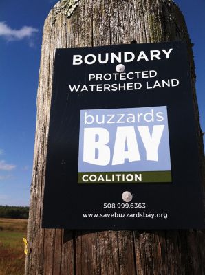 Buzzards Bay Coalition
Sara DaSilva Quintal, Restoration Ecologist with the Buzzards Bay Coalition, led a group of 50 Tri-Town residents and others from across the South Coast on an expedition into protected retired cranberry bogs last Saturday. Photo by Marilou Newell.
