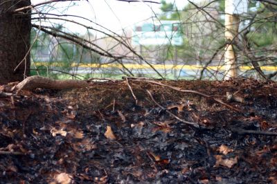 Brush Fire
A recent fire scorched leaves and charred trees over an acre of forest adjacent to the Dexter Lane Athletic fields and the Rochester Senior Center on Thursday, April 21, 2011. Photo by Chris Martin.
