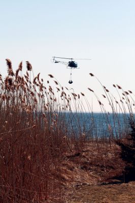 Restoring Ram Island
Helicopters complete rounds from the Mattapoisett marina to Ram Island on March 8, 2010. The helicopters are part of the Ram Island Restoration Project, which is an effort to rebuild the eroded island so common and roseate terns can nest in their natural habitat. The helicopters will deliver 650 cubic feet of soil to the island and workers will then plant vegetation to prevent further erosion. Photo by Anne O'Brien-Kakley.
