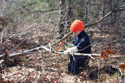 Ludes Estuary
Sam Harris saws a branch during the cleanup of Ludes Estuary by members of the Sippican Land Trust on March 26, 2011. Members of the land trust provide stewardship to 46 properties around Marion. Photo by Chris Martin. 
