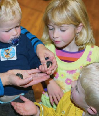 Marion Natural History Museum
The Marion Natural History Museum’s afterschool group enjoyed a wonderful program about sea turtles of Buzzards Bay last Wednesday. During the program the students had a chance to view videos of hatchling turtles, learn a little about sea turtle biology, and handle some live terrapins. We wish to thank Don Lewis and Sue Weber Nourse for providing this exciting program. Photos courtesy Turtle Journal.
