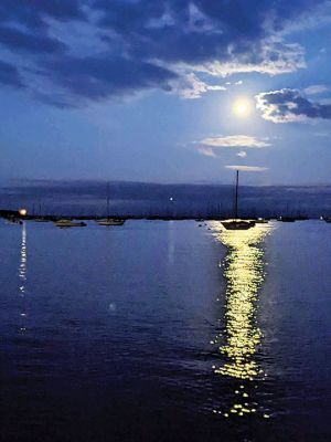 Full Moon
A full moon overlooks Mattapoisett Harbor during a band concert held August 10th. The harbor area has long been home to live music, and the Mattapoisett Town Band is comprised of more than 30 musicians from diverse backgrounds covering a wide spectrum of ages from students to senior citizens. According to Mattapoisett Museum Director Jeff Miller, the band goes back to the early 20th century in some form. August 18, 2022 edition
