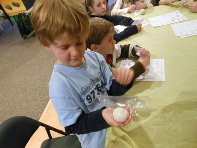 Sea Turtles
The Marion Natural History Museum after-school group learned about Sea Turtles this past week. Photo courtesy Eleizabeth Leidhold
