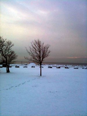 Wintertime
Mattapoisett seasonal resident Trish O'Neill was visiting from Georgia during the week of New Year's Day and captured some beautiful snowfall around Ned's Point. Photos courtesy of Ms. O'Neill.
