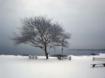 Wintertime
Mattapoisett seasonal resident Trish O'Neill was visiting from Georgia during the week of New Year's Day and captured some beautiful snowfall around Ned's Point. Photos courtesy of Ms. O'Neill.
