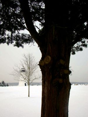 Wintertime
Mattapoisett seasonal resident Trish O'Neill was visiting from Georgia during the week of New Year's Day and captured some beautiful snowfall around Ned's Point. Photos courtesy of Ms. O'Neill.
