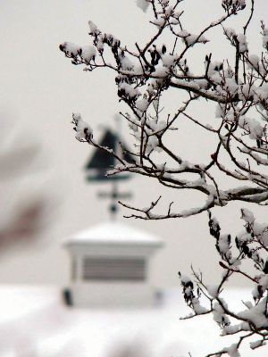 Wintertime
Mattapoisett seasonal resident Trish O'Neill was visiting from Georgia during the week of New Year's Day and captured some beautiful snowfall around Ned's Point. Photos courtesy of Ms. O'Neill.
