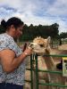 Filename=Alpacas_7926.jpg
Filesize=122KiB
Dimensions=540x720
Date added=Sep 29, 2021 Alpacas_7926.jpg